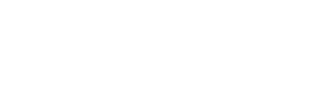 Agent Spinner logotyp
