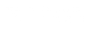 Buran Casino logotyp