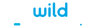 Wild Tornado Casino logotyp
