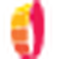 Playzido logotyp