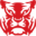 Red Tiger logotyp