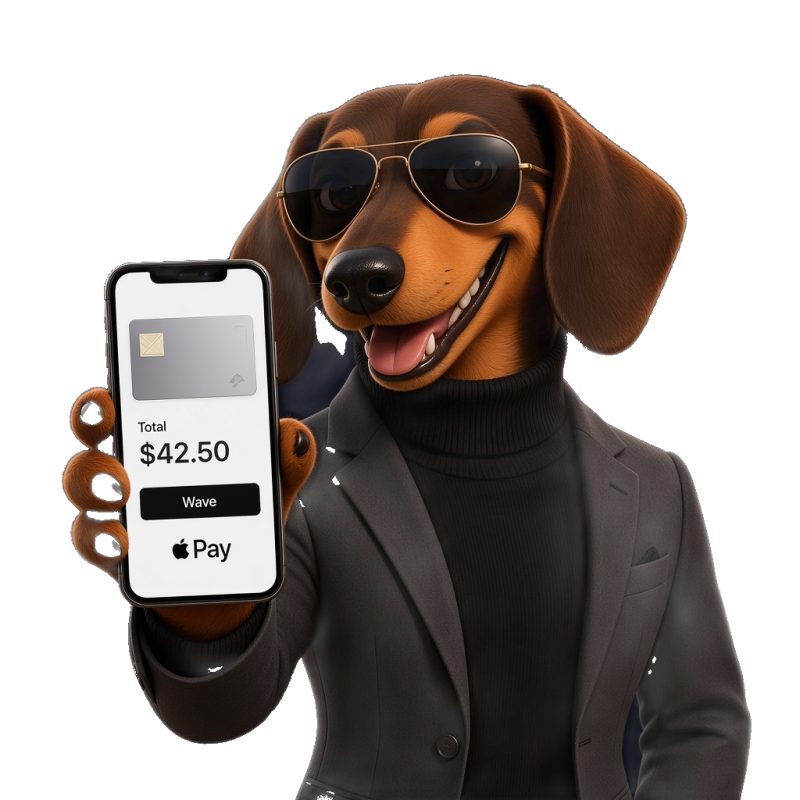 Kuvitus kohteelle Apple Pay-kasino